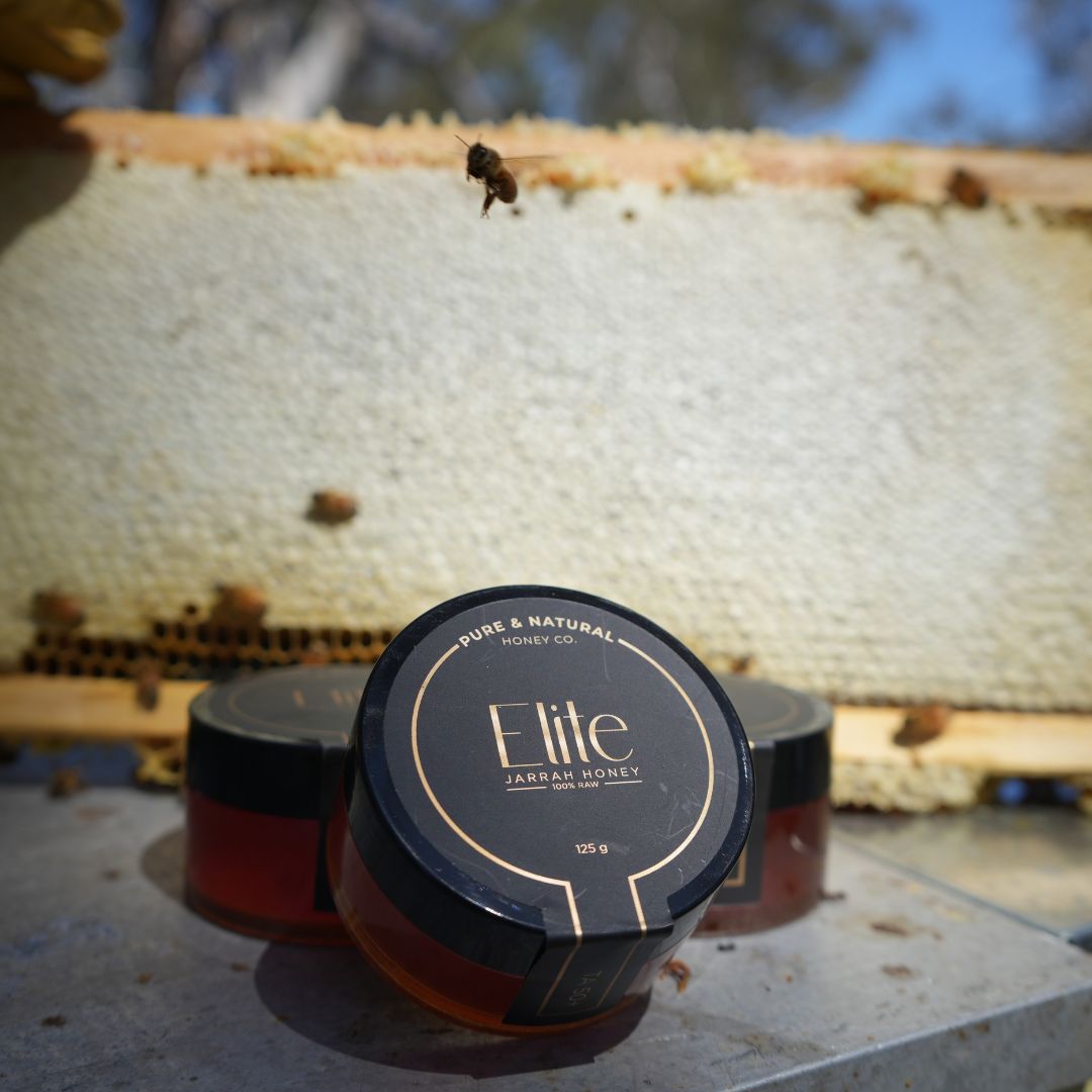 Elite Jarrah TA50+ 125g Premium Jars - Pure & Natural Honey Co