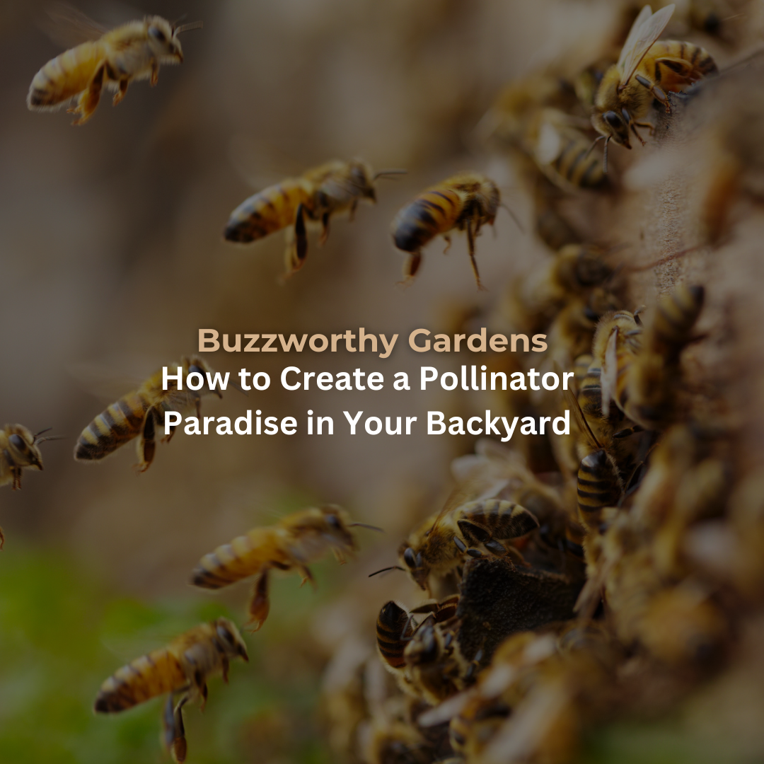 Buzzworthy Gardens: How to Create a Pollinator Paradise in Your Backyard