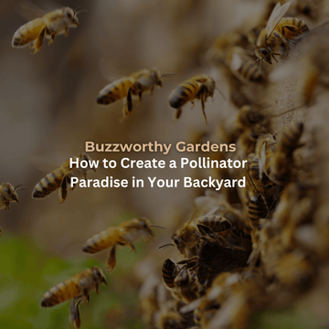 Buzzworthy Gardens: How to Create a Pollinator Paradise in Your Backya ...