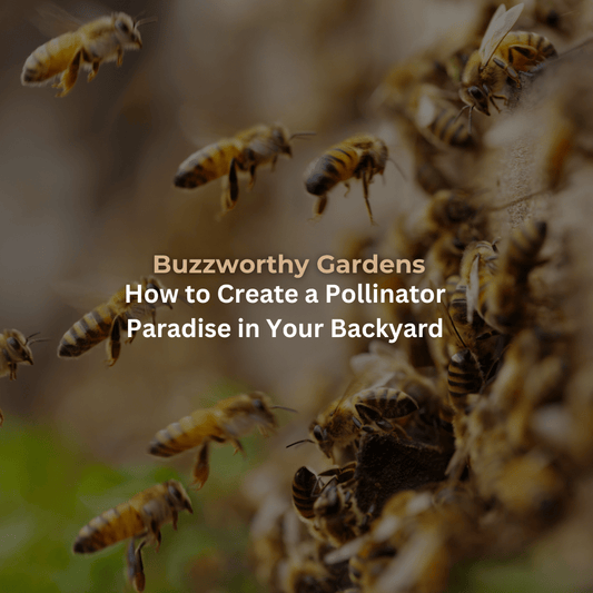 Buzzworthy Gardens: How to Create a Pollinator Paradise in Your Backyard - Pure & Natural Honey Co