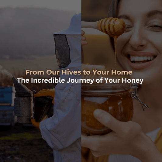 From Hive to Home: The Incredible Journey of Your Honey - Pure & Natural Honey Co