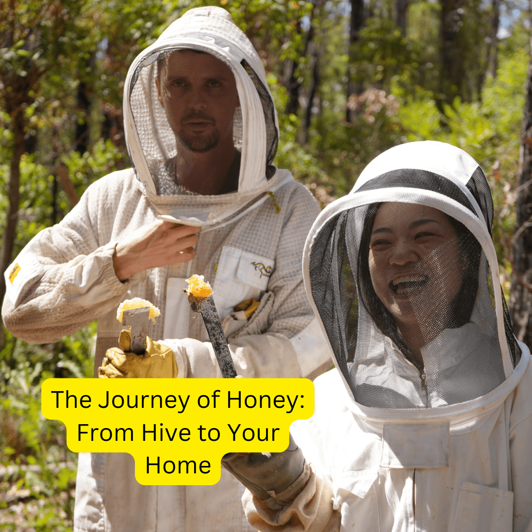The Journey of Honey: From Hive to Your Home - Pure & Natural Honey Co
